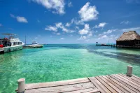 Mayan Princess Hotel Hotels in San Pedro