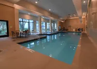 Holiday Inn Irving - Las Colinas Hotels in Irving