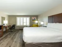 Best Western Houston Bush InterContinental Airport Inn Hotels in Humble