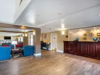Comfort Inn Castro Valley Hotels in Castro Valley