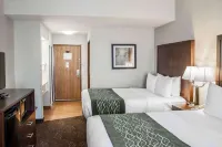 Comfort Inn Federal Way - Seattle