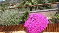 Seven Hostel & Rooms