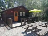 Camping la Pedrera Hotels in Algorfa