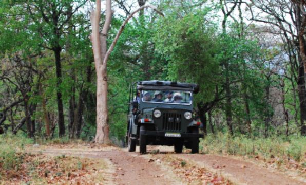 K Gudi Wilderness Camp-Jungle Lodges