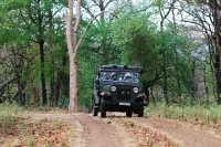 K Gudi Wilderness Camp-Jungle Lodges