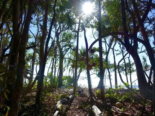 椰子海灘度假屋