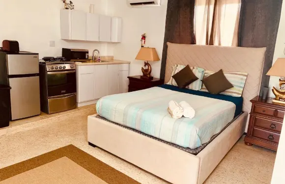 阿雷西博681海洋驅動器的大西洋窗口