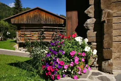 Albergo Diffuso Sauris in Sauris di Sotto