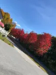 The Autumn Inn Hotel a Bennington