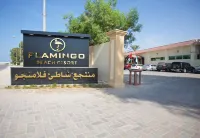 Flamingo Beach Hotel Các khách sạn ở 