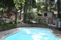 Crest Lodge Historic Mountain Inn Hotels in Crestline