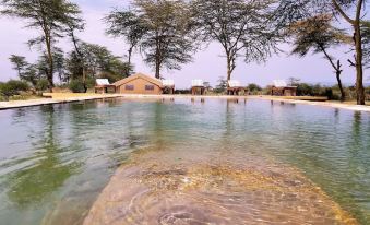Africa Safari Lake Manyara Located Inside a Wildlife Park