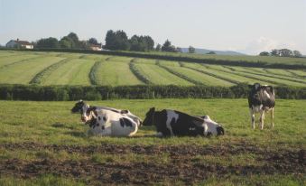 Cames Mead B&B Meare Green Farm