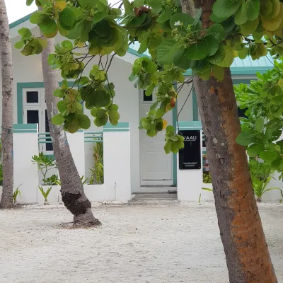 Vaali Maldives Island Escapes & Dive Hotel a Rakeedhoo