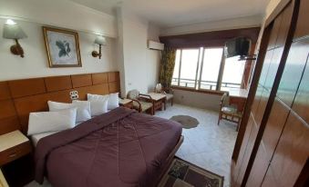 Regency Hotel Alexandria