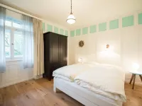 Haus Altein Apartment Nr. 4 - Homestays