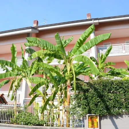 Residence Belvedere