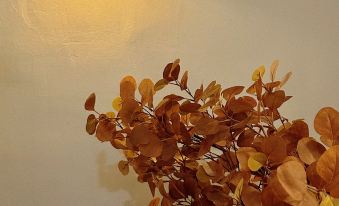 Zhang Chengcheng Apartment (Tianguan Di Street)