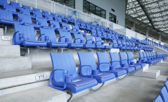 2. 하카타 그린 호..