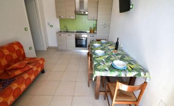 Charming Apartment in Central Location with Air Conditioning Pets
