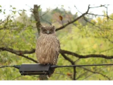 芽登温泉ホテル 足寄町のホテル