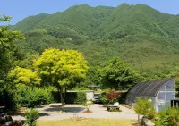 Danyang Deulggochyanggi