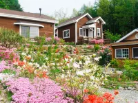 Jangsu Goasanbang Pension Hotels in Jangsu