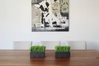 Double House - Two Beautiful New Villas