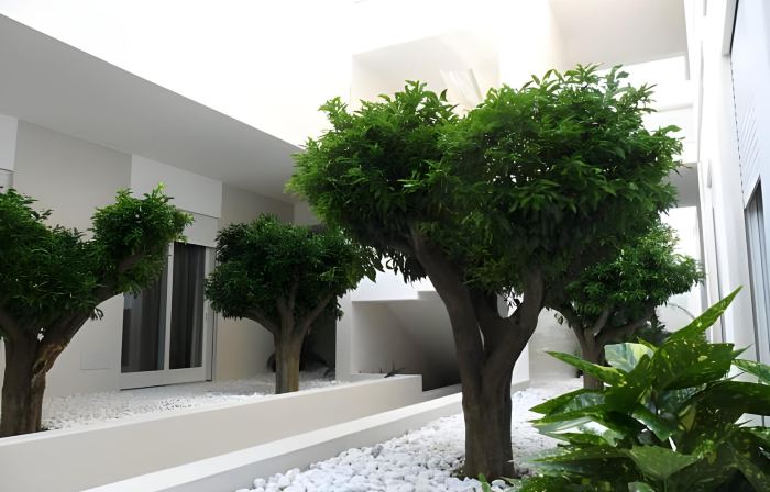 Soglow Business Class Hotel