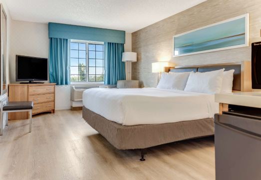 3. 소네스타 애너하..