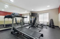 Best Western Canton Inn - Gym