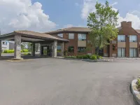 Comfort Inn Hotels in Levis