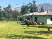 Grandfather´s Farm - Disfruta de la Naturaleza en un Lindo Flat. Hotels in 
