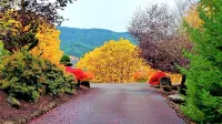 New Listing - Breathtaking vacation/work remotely in wine country!