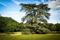 Gîte de Montfranc in the heart of a Sologne estate