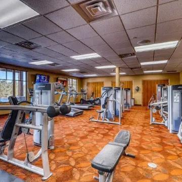 Large deck overlooking hiking trail/fiber-optic wifi/ short walk to village.