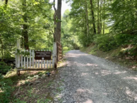 Tiny Home only 1 mile to Vogel State Park!  Wandering Wood at the Reece Farm Vlg