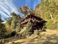 Tree House Treasure ~ Rare Find ~