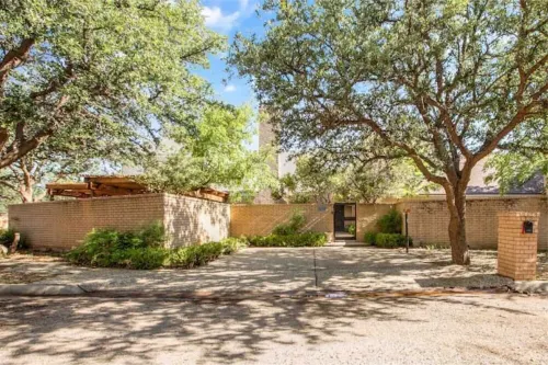 Luxurious Tree House