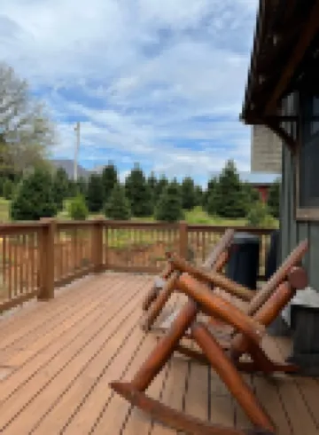 A hand-crafted cabin built in the middle of a Christmas Tree farm.