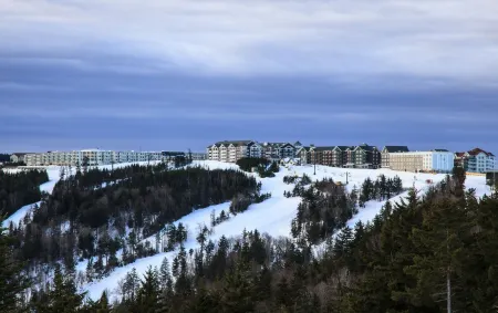 Cozy 3 BR Treetop condo mins walk to slopes