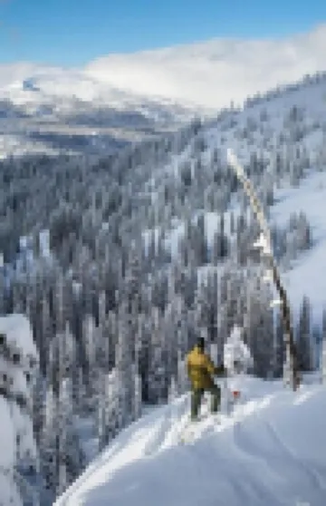Modern McCall Mountain Gem -- Pet-Friendly -- Less Than 1 Mi to Lake & Downtown