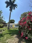 Gracie's Cottage 15 min to Beach - สระว่ายน้ำส่วนตัว