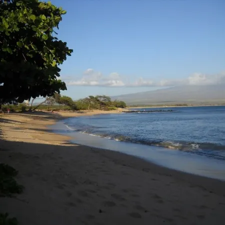 195-295/Night, Oceanfront with 2 Master Suites, Fully Stocked, Amazing View!!!