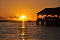 15 Reasons Our Guests Never Want to Leave