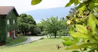 Lake Maggiore, beautiful villa with pool and large garden on Lake Maggiore فنادق في 