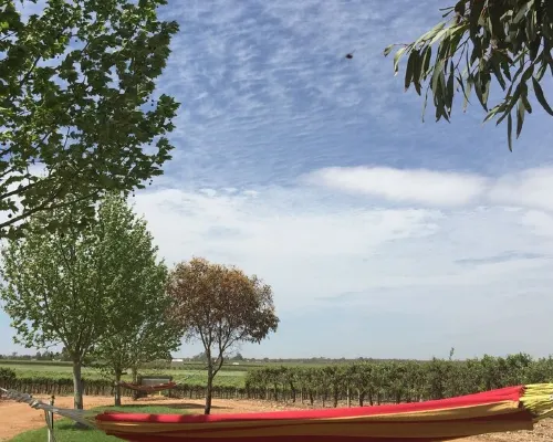 The Picker's Hut - Peaceful vineyard setting Hotels in Barmera