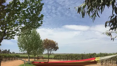 The Picker's Hut - Peaceful vineyard setting Lake Bonney foreshore附近的飯店