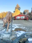 Bear Rock Bungalow-King Bed & 2 Twin Cots