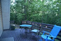 3-bedroom cabin near George Washington National Forest